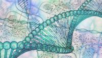 DNA graphic